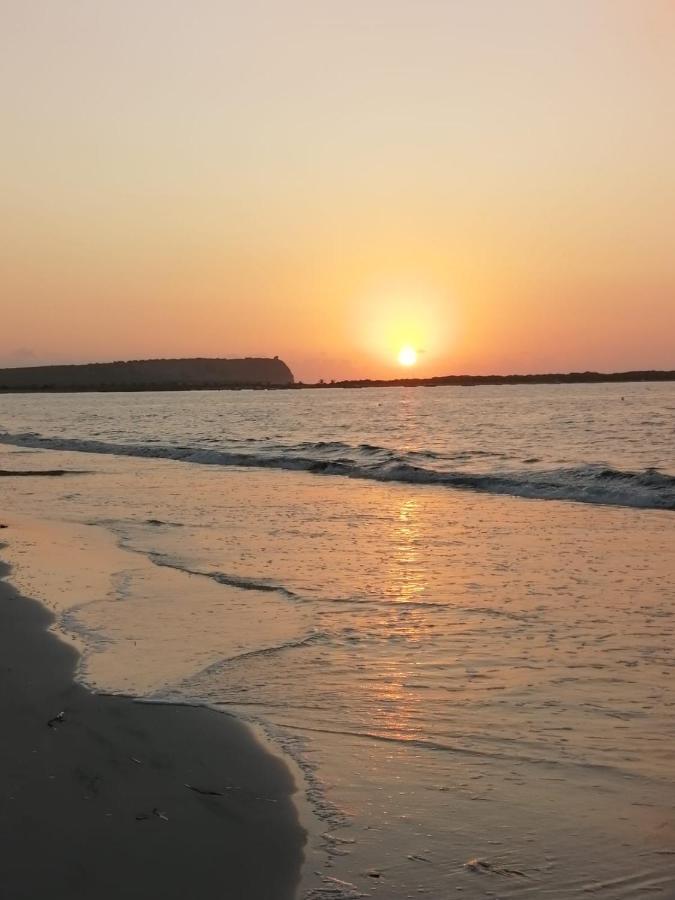 Sa Banita Affittacamere Bauladu المظهر الخارجي الصورة
